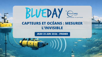 bLUE DAY CAPTEURS